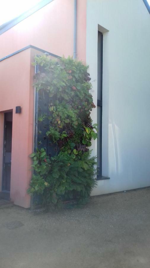 Maison Passive Et D'architecte